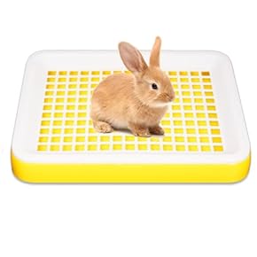 小動物用ケージ・アクセサリー - Amazon.co.jp